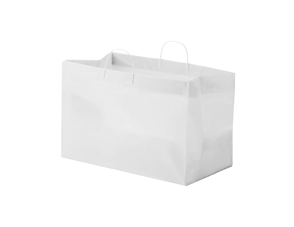 SCSLWTQD Catering Bag 19